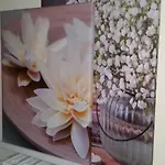 Apartment Bilocale In Strada Vestricciano Genna Con Giardino Privato Perugia