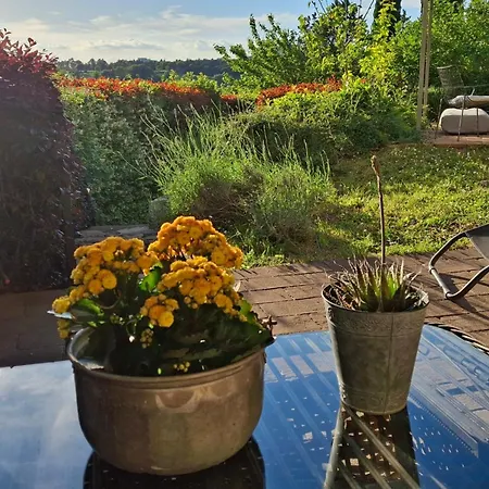 Bilocale In Strada Vestricciano Genna Con Giardino Privato アパート *