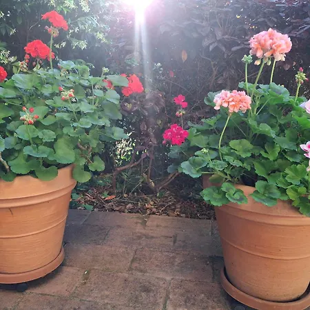 Bilocale In Strada Vestricciano Genna Con Giardino Privato * Perugia