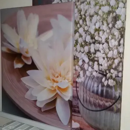Apartment Bilocale In Strada Vestricciano Genna Con Giardino Privato Perugia