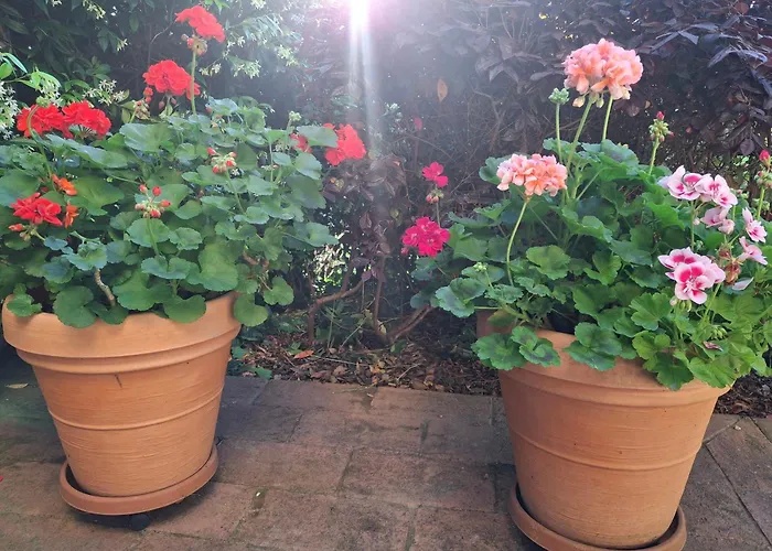 Bilocale In Strada Vestricciano Genna Con Giardino Privato * Perugia